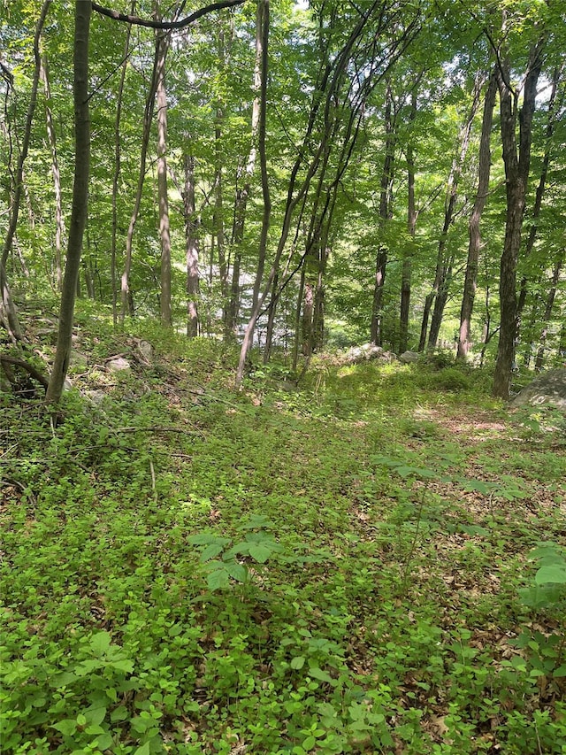 Old Church Rd, Putnam Valley, NY 10579 - photo 3