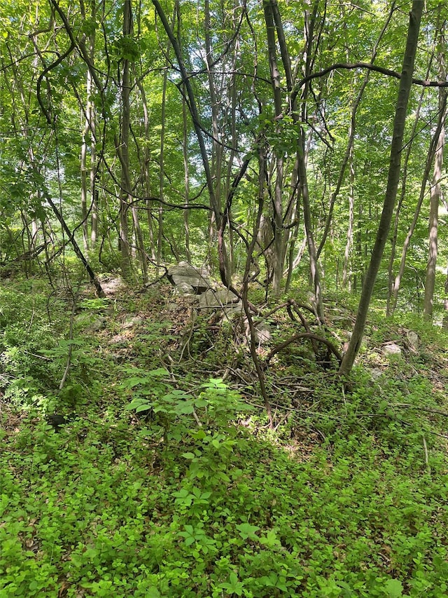 Old Church Rd, Putnam Valley, NY 10579 - photo 5