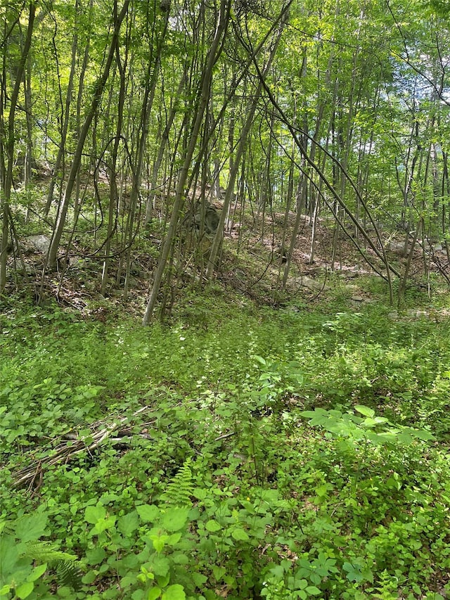 Old Church Rd, Putnam Valley, NY 10579 - photo 6