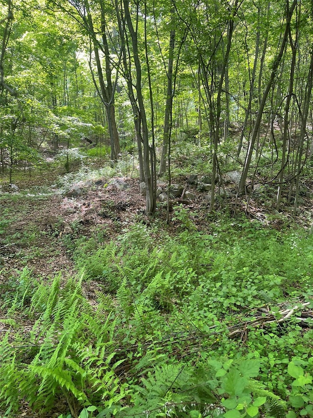 Old Church Rd, Putnam Valley, NY 10579 - photo 7