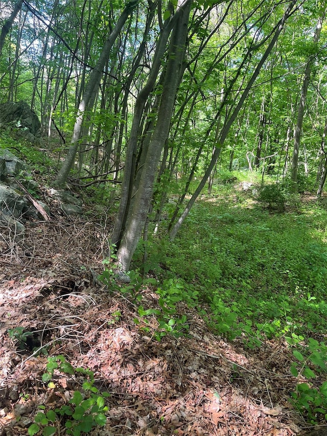Old Church Rd, Putnam Valley, NY 10579 - photo 8