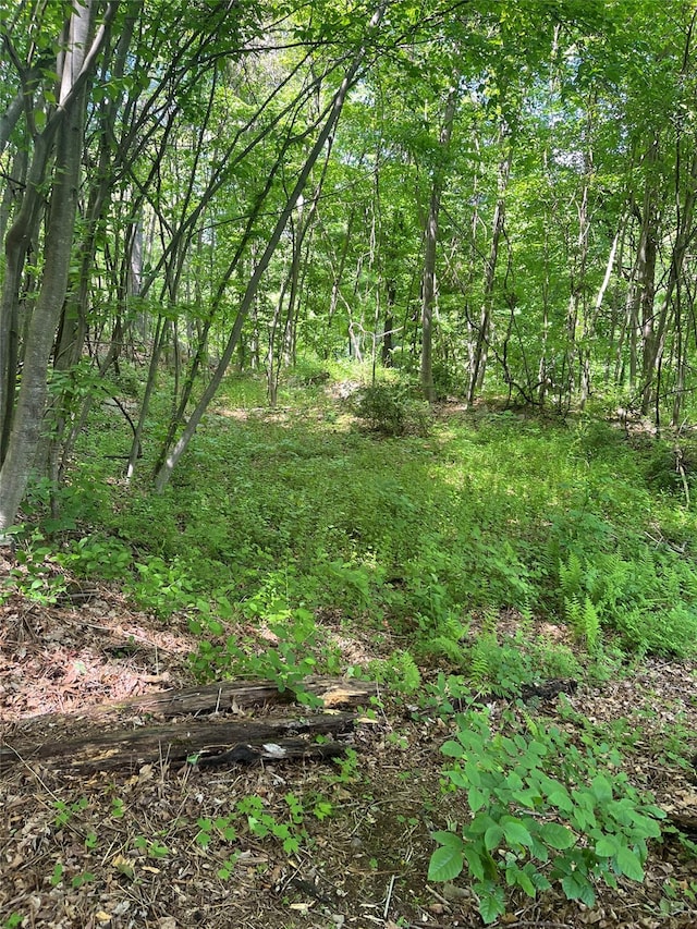 Old Church Rd, Putnam Valley, NY 10579 - photo 9