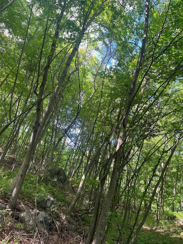 Old Church Rd, Putnam Valley, NY 10579 - photo 10