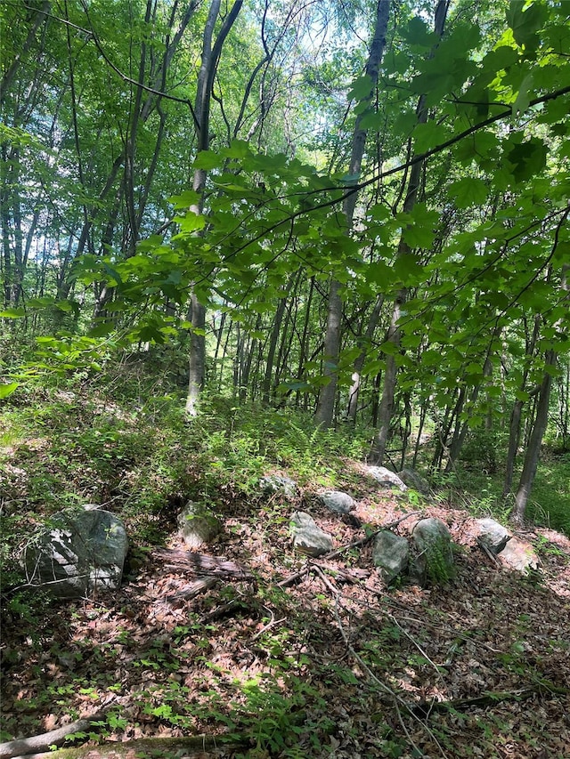 Old Church Rd, Putnam Valley, NY 10579 - photo 12