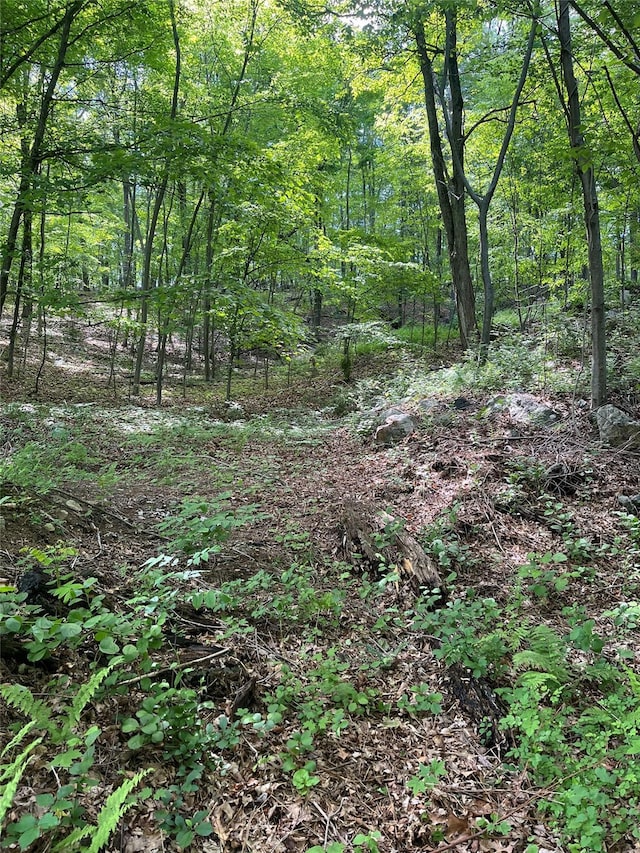 Old Church Rd, Putnam Valley, NY 10579 - photo 13
