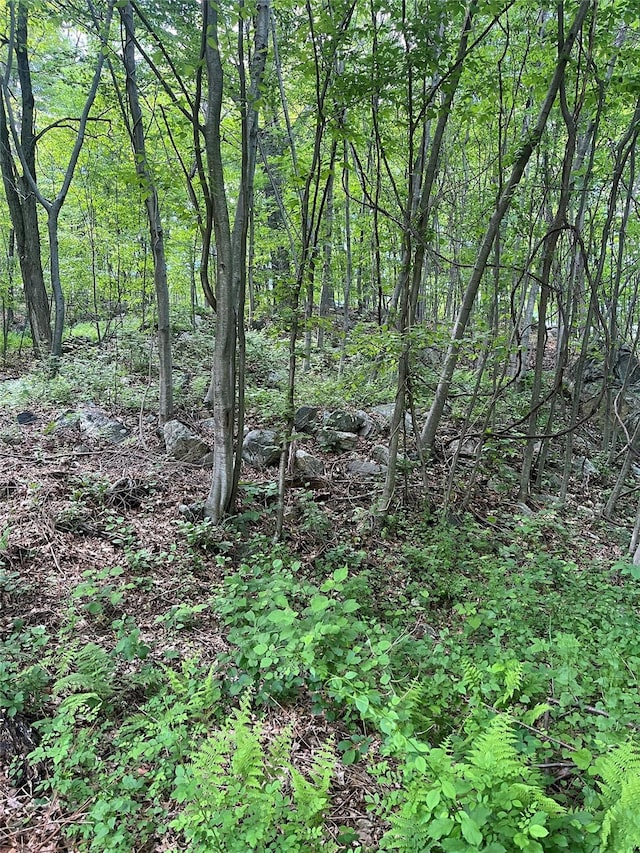 Old Church Rd, Putnam Valley, NY 10579 - photo 14
