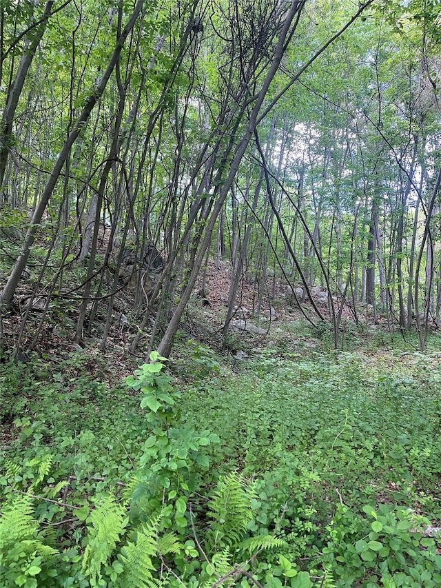 Old Church Rd, Putnam Valley, NY 10579 - photo 15