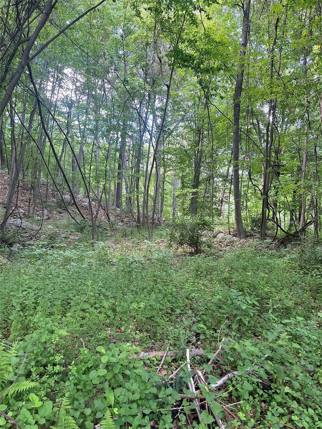Old Church Rd, Putnam Valley, NY 10579 - photo 16