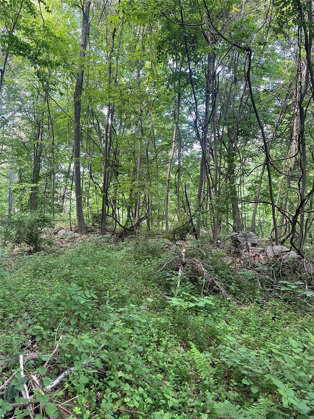 Old Church Rd, Putnam Valley, NY 10579 - photo 17