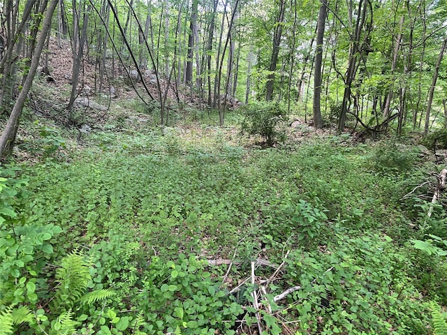 Old Church Rd, Putnam Valley, NY 10579 - photo 19