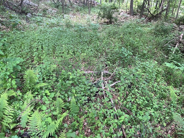 Old Church Rd, Putnam Valley, NY 10579 - photo 20