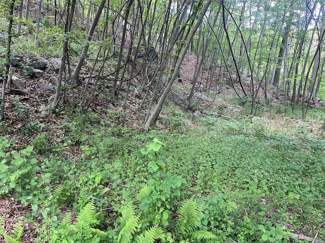 Old Church Rd, Putnam Valley, NY 10579 - photo 22