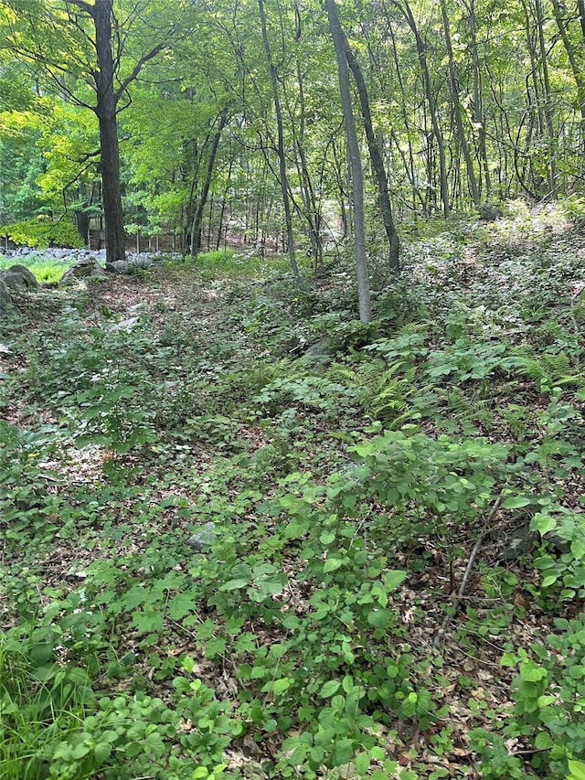 Old Church Rd, Putnam Valley, NY 10579 - photo 23