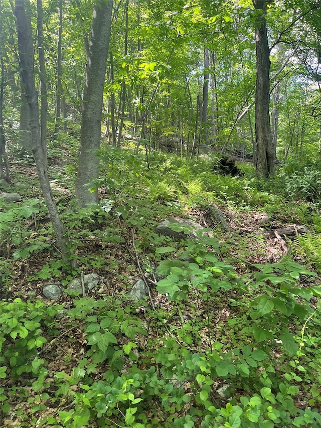Old Church Rd, Putnam Valley, NY 10579 - photo 24