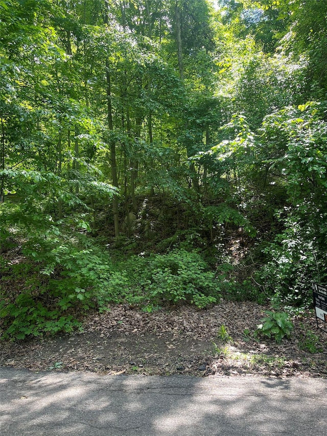 Old Church Rd, Putnam Valley, NY 10579 - photo 25