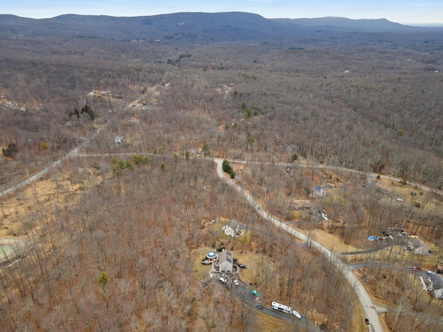 aerial view with a mountain view
