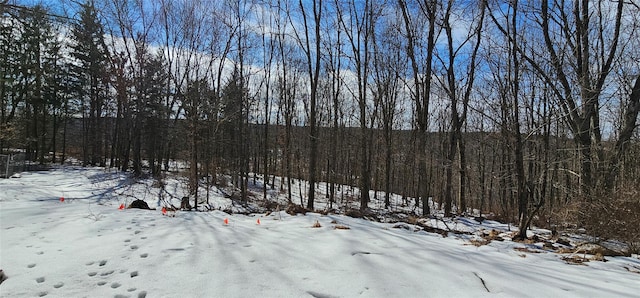 exterior space featuring a wooded view