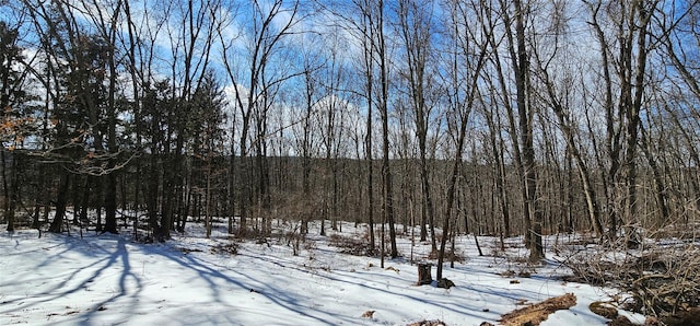 yard covered in snow featuring a forest view