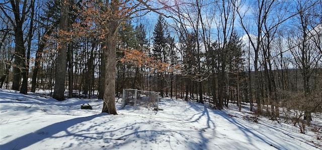 yard covered in snow featuring a forest view