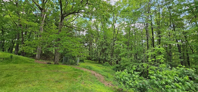 7599 State Route 97, Narrowsburg, NY 12764 - photo 35