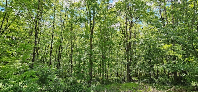 7599 State Route 97, Narrowsburg, NY 12764 - photo 38