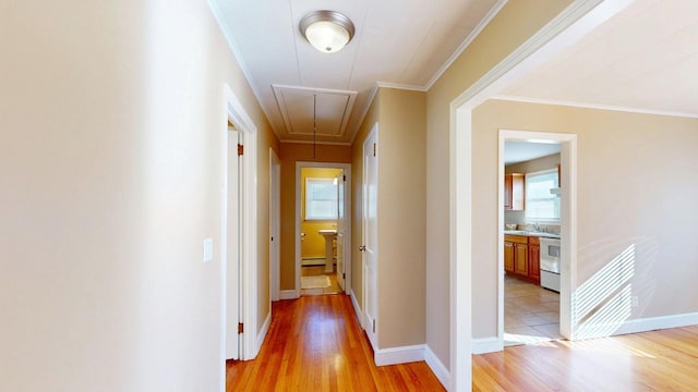 hallway featuring ornamental molding, light wood-type flooring, and attic access