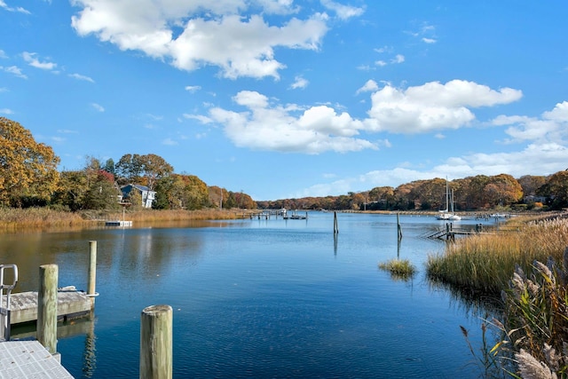 dock area featuring a water view