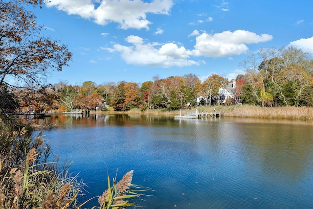 property view of water