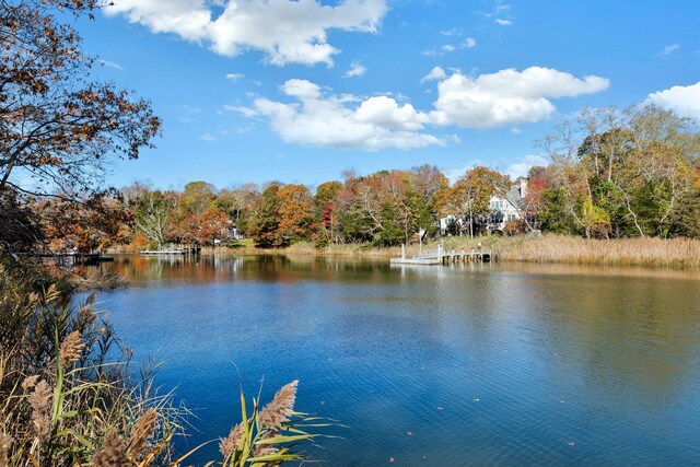 3200 Cox Neck Rd, Mattituck, NY 11952 - photo 49