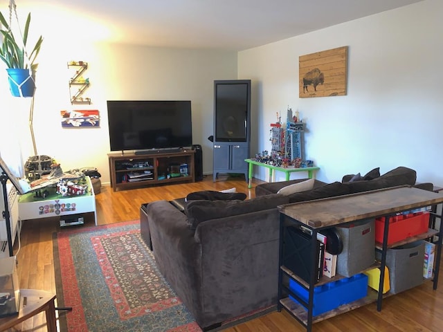 living area featuring wood finished floors