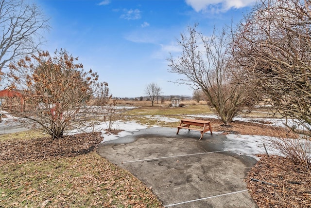 view of yard featuring a patio