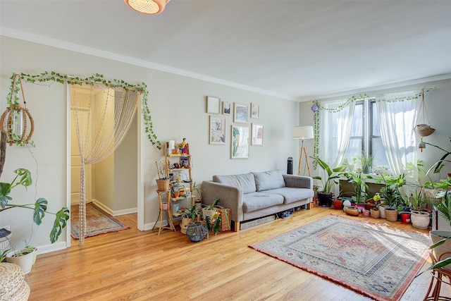 living room with ornamental molding, wood finished floors, and baseboards