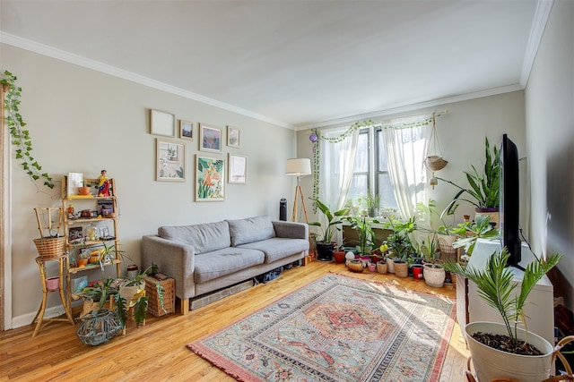 living room with ornamental molding and wood finished floors