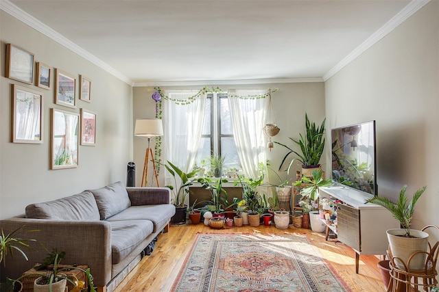 living room with crown molding and wood finished floors