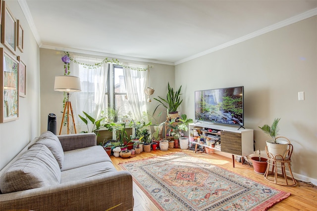 living area with baseboards, wood finished floors, and crown molding