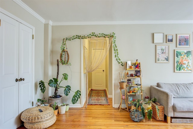 living area with ornamental molding, light wood-style flooring, and baseboards