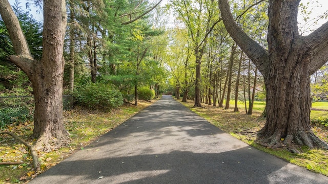 view of road