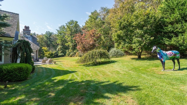 view of yard featuring a patio