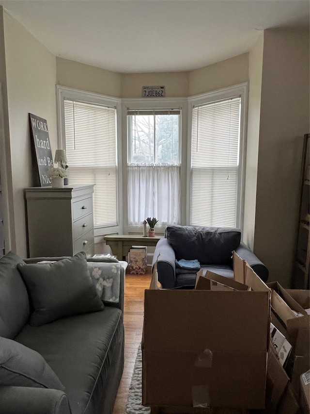 living area with wood finished floors