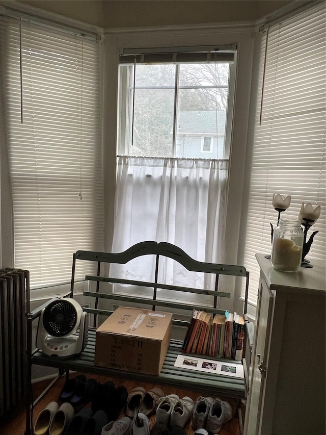 bedroom featuring radiator