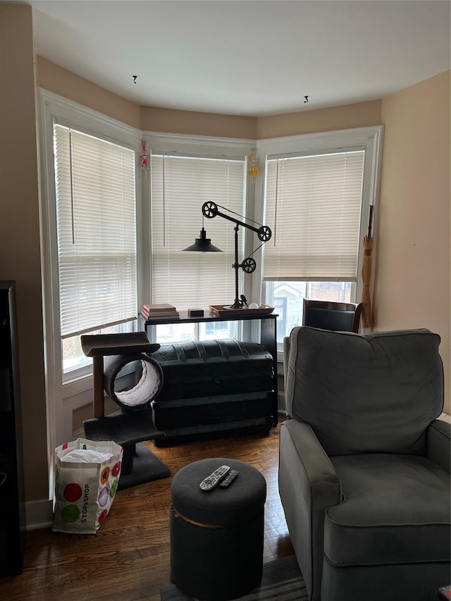 interior space with wood finished floors