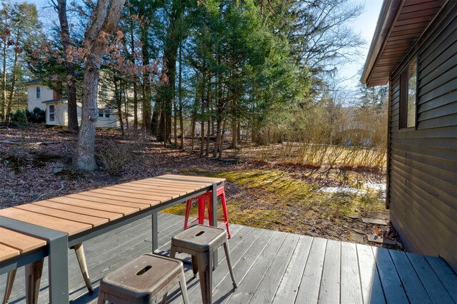 33 4th St, Narrowsburg, NY 12764 - photo 21