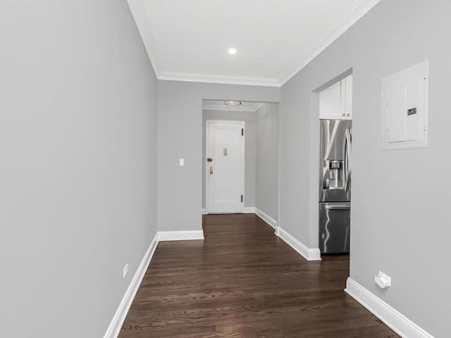 hallway with electric panel, baseboards, dark wood finished floors, and ornamental molding