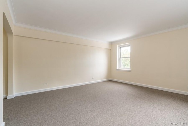 unfurnished room with carpet flooring, crown molding, and baseboards