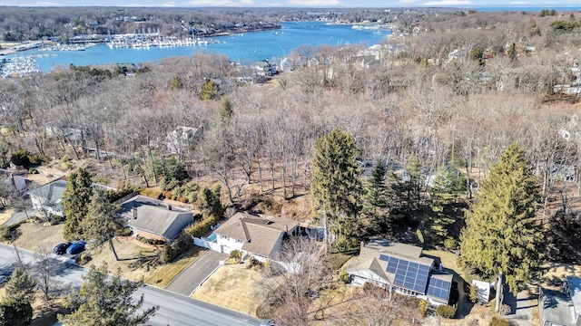 aerial view with a water view and a view of trees