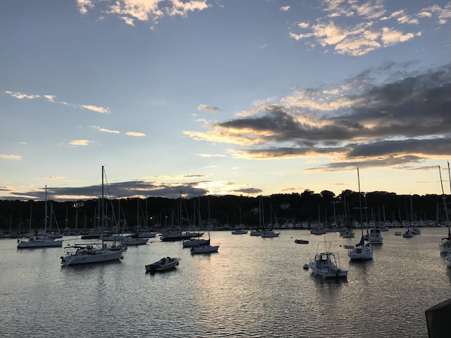 property view of water featuring a dock