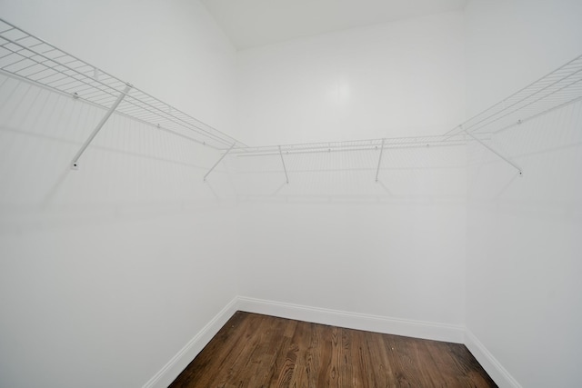 spacious closet featuring dark wood-style flooring