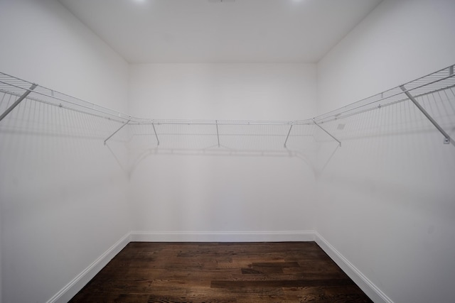 walk in closet featuring wood finished floors