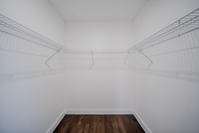 spacious closet featuring dark wood-style floors