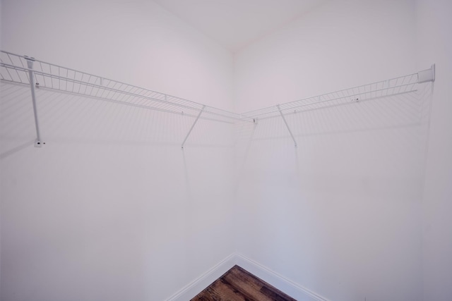 walk in closet featuring dark wood-type flooring